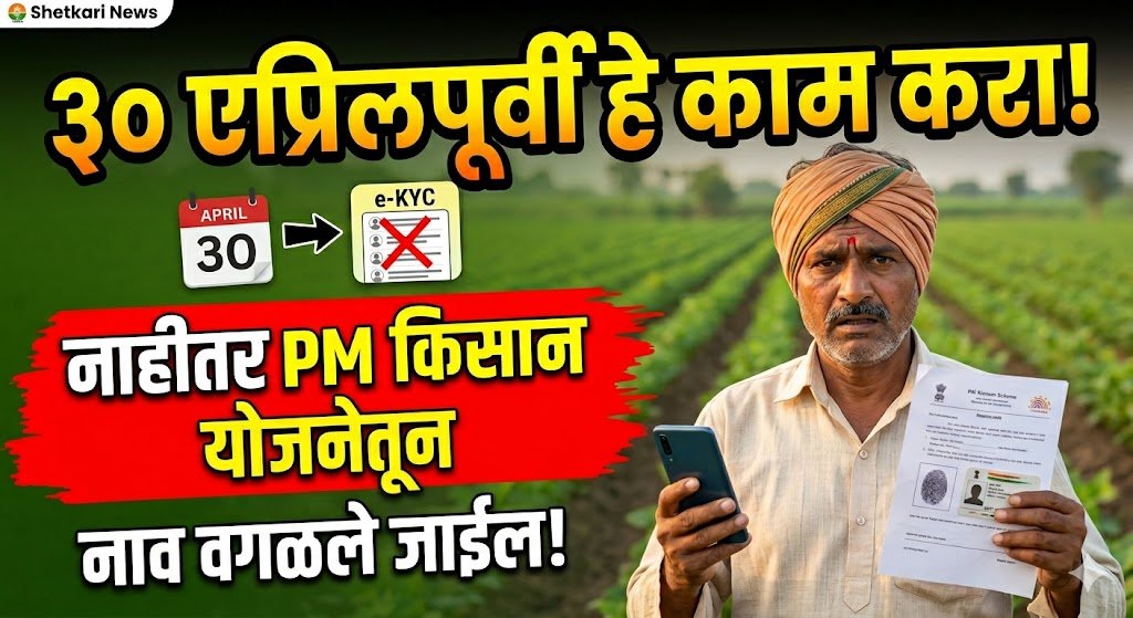 11720494 3e8b 482b 9dd4 8b8dd98e2bac